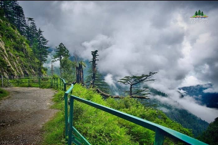 Murree & Nathiagali in Islamabad